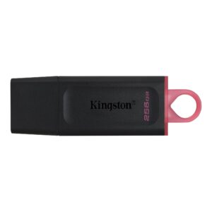 Kingston 256GB USB Drive 3.2 Exodia